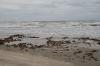 <img100*0:stuff/z/73640/Texas%2520coastline/i1262480847_25.jpg>