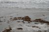 <img100*0:stuff/z/73640/Texas%2520coastline/i1262480848_26.jpg>