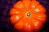 <img100*0:stuff/z/73640/Thanksgiving%2520reference/i1259819939_1.jpg>