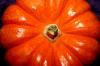 <img100*0:stuff/z/73640/Thanksgiving%2520reference/i1259819940_2.jpg>