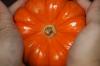 <img100*0:stuff/z/73640/Thanksgiving%2520reference/i1259819940_5.jpg>