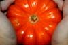 <img100*0:stuff/z/73640/Thanksgiving%2520reference/i1259819941_11.jpg>