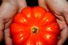 <img100*0:stuff/z/73640/Thanksgiving%2520reference/i1259819941_14.jpg>