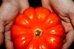 Tiny Pumpkin