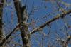 <img100*0:stuff/z/73640/Winter%2520Plants/i1275880865_3.jpg>