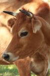 <img100*0:stuff/z/73640/animal%2520reference/i1257142749_19.jpg>