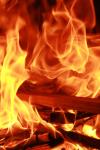 <img100*0:stuff/z/73640/b-b-q%2520pit%2520reference/i1257209042_11.jpg>