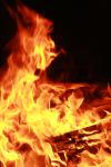 <img100*0:stuff/z/73640/b-b-q%2520pit%2520reference/i1257209042_2.jpg>