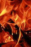 <img100*0:stuff/z/73640/b-b-q%2520pit%2520reference/i1257209042_3.jpg>