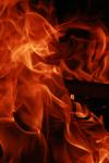 <img100*0:stuff/z/73640/b-b-q%2520pit%2520reference/i1257209042_6.jpg>