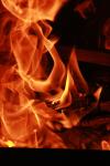 <img100*0:stuff/z/73640/b-b-q%2520pit%2520reference/i1257209043_34.jpg>