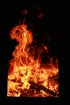 <img100*0:stuff/z/73640/b-b-q%2520pit%2520reference/i1257227481_12.jpg>