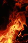 <img100*0:stuff/z/73640/b-b-q%2520pit%2520reference/i1257227482_13.jpg>