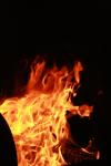 <img100*0:stuff/z/73640/b-b-q%2520pit%2520reference/i1257227482_25.jpg>