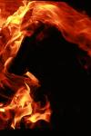 <img100*0:stuff/z/73640/b-b-q%2520pit%2520reference/i1257272712_5.jpg>