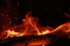 <img100*0:stuff/z/73640/b-b-q%2520pit%2520reference/i1257272715_25.jpg>
