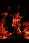 <img100*0:stuff/z/73640/b-b-q%2520pit%2520reference/i1257272717_40.jpg>