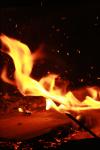 <img100*0:stuff/z/73640/b-b-q%2520pit%2520reference/i1257656712_2.jpg>