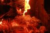 <img100*0:stuff/z/73640/b-b-q%2520pit%2520reference/i1257656712_3.jpg>