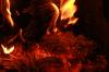 <img100*0:stuff/z/73640/b-b-q%2520pit%2520reference/i1257656713_15.jpg>