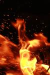 <img100*0:stuff/z/73640/b-b-q%2520pit%2520reference/i1257656716_33.jpg>