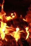 <img100*0:stuff/z/73640/b-b-q%2520pit%2520reference/i1257656716_35.jpg>