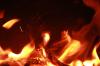 <img100*0:stuff/z/73640/b-b-q%2520pit%2520reference/i1257700984_27.jpg>