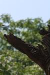 <img100*0:stuff/z/73640/bees%2520in%2520hive.1/i1276061922_4.jpg>