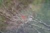 <img100*0:stuff/z/73640/bird%2520reference.3/i1262661091_1.jpg>