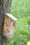 <img100*0:stuff/z/73640/bird%2520reference.3/i1262661092_21.jpg>