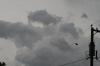 <img100*0:stuff/z/73640/bird%2520reference.3/i1262662354_9.jpg>