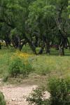<img100*0:stuff/z/73640/blue%2520heron.1/i1278270142_24.jpg>