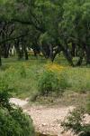 <img100*0:stuff/z/73640/blue%2520heron.1/i1278270144_27.jpg>