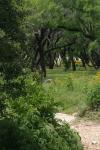 <img100*0:stuff/z/73640/blue%2520heron.1/i1278270146_30.jpg>