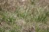 <img100*0:stuff/z/73640/butterflies.2/i1275870488_21.jpg>