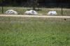 <img100*0:stuff/z/73640/butterflies.2/i1275872009_15.jpg>