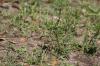 <img100*0:stuff/z/73640/butterflies.2/i1275872010_19.jpg>