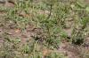 <img100*0:stuff/z/73640/butterflies.2/i1275872010_23.jpg>