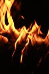 <img100*0:stuff/z/73640/camp%2520fire%2520reference/i1257886790_34.jpg>