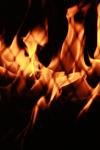 <img100*0:stuff/z/73640/camp%2520fire%2520reference/i1257886790_39.jpg>