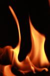 <img100*0:stuff/z/73640/camp%2520fire%2520reference/i1257887640_25.jpg>