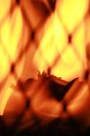 <img100*0:stuff/z/73640/camp%2520fire%2520reference/i1257891376_3.jpg>