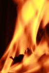 <img100*0:stuff/z/73640/camp%2520fire%2520reference/i1257891377_20.jpg>