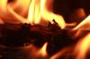 <img100*0:stuff/z/73640/camp%2520fire%2520reference/i1257893733_19.jpg>