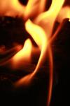 <img100*0:stuff/z/73640/camp%2520fire%2520reference/i1257897062_10.jpg>