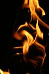 <img100*0:stuff/z/73640/camp%2520fire%2520reference/i1257897062_17.jpg>