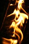 <img100*0:stuff/z/73640/camp%2520fire%2520reference/i1257897062_22.jpg>