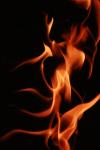 <img100*0:stuff/z/73640/camp%2520fire%2520reference/i1257897063_30.jpg>