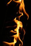 <img100*0:stuff/z/73640/camp%2520fire%2520reference/i1257897063_32.jpg>