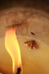 <img100*0:stuff/z/73640/candle%2520reference/i1257800882_1.jpg>